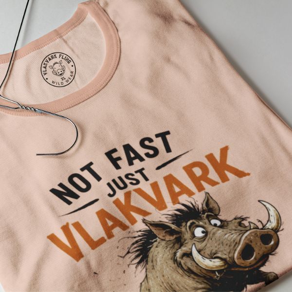 NOT FAST, JUST VLAKVARK - Image 3
